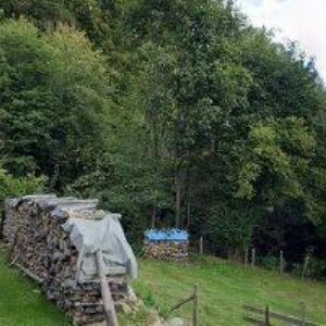 obrazek: avatar CHALUPA DANA