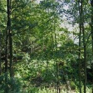 obrazek: avatar APARTMÁN NA SVAHU