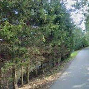 obrazek: avatar PENZION U DVOU JEDLÍ