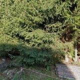 LESNÍ CHATA, s.r.o.