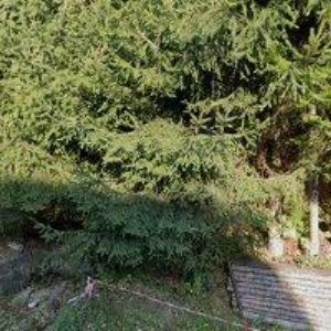 obrazek: avatar LESNÍ CHATA, s.r.o.