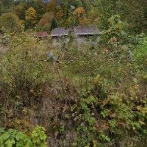 obrazek: avatar PENSION NUSELSKÁ