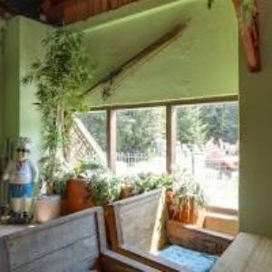 obrazek: avatar CAMPING 2000 JANUV DUL s.r.o.