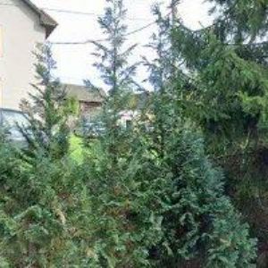 obrazek: avatar SELSKÝ DVŮR VYSKEŘ