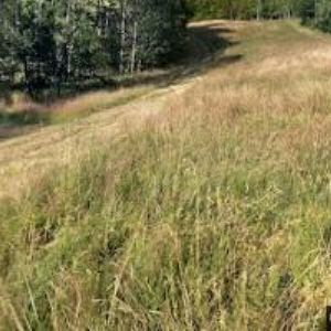 obrazek: avatar CHATA VOTOČKA