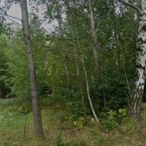 obrazek: avatar CHALUPA NA SLUNEČNÍ