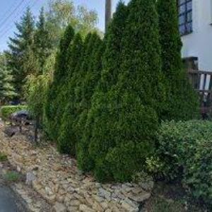 obrazek: avatar SAVARY HOTEL