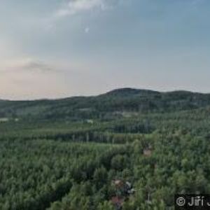 obrazek: avatar PENZION NOVÝ MLÝN