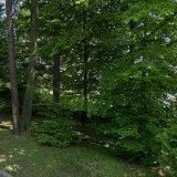 BESKYDSKÝ HOTEL RELAX a.s.