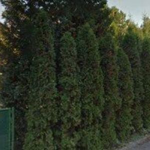 obrazek: avatar HOTEL AMBRA