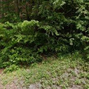 obrazek: avatar CHALUPA U HORNÍKŮ