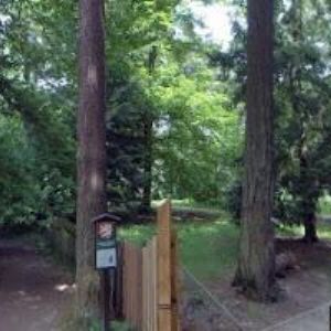 obrazek: avatar PENSION ANTIK HÁJOVNA