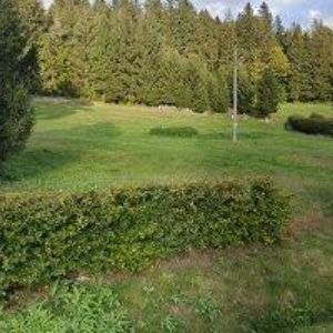 obrazek: avatar PENZION AMPRA