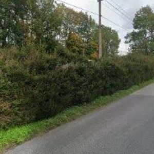 obrazek: avatar PENZION IVANKA