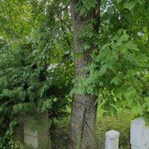 obrazek: avatar ATELIÉROVÝ APARTMÁN MALÁ SKÁLA