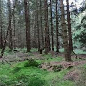 obrazek: avatar SLUŽBY VÍTKOVICE, s.r.o.