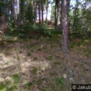 obrazek: avatar DOLY BÍLINA-REKREAČNÍ STŘEDISKO