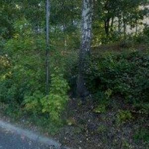 obrazek: avatar DĚTSKÝ DIAGNOSTICKÝ ÚSTAV, STŘEDISKO VÝCHOVNÉ PÉČE, ZŠ, MŠ A ŠKOLNÍ JÍDELNA Liberec