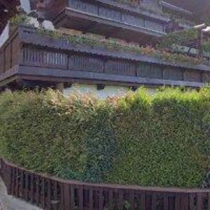 obrazek: avatar VINKL PENZION