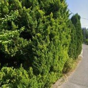 obrazek: avatar ČLTK BIŽUTERIE JABLONEC NAD NISOU, z.s.