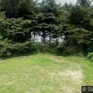 obrazek: avatar CHATA LUŽ