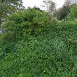 UBYTOVÁNÍ U SEDLÁČKŮ