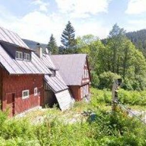 obrazek: avatar BOUDA NA WALDHEIMU