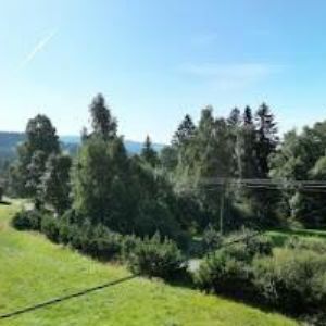 obrazek: avatar DOMINIKA CHATA