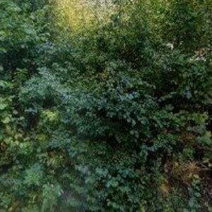 obrazek: avatar APARTMÁN V HÁJÍCH