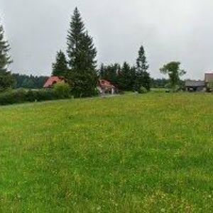 obrazek: avatar CHATA BUCHTOVNA