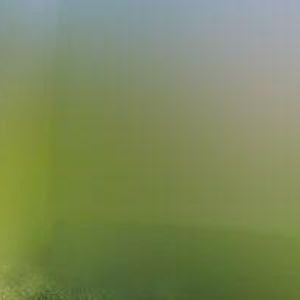 obrazek: avatar CHALUPA BEDŘICHOV-NĚMEČKOVI