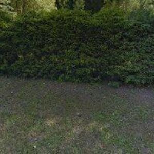 obrazek: avatar APARTMÁN SCHOVÁNEK