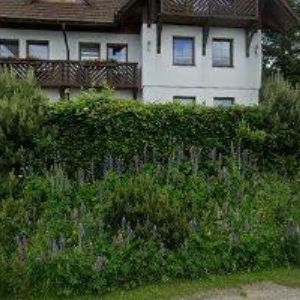 obrazek: avatar PRIVÁT JANATOVÁ