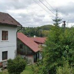 obrazek: avatar MAYER PATRIK