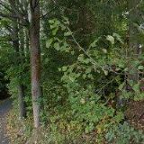 RANCH BYSTRÁ NAD JIZEROU