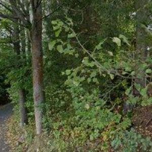 obrazek: avatar RANCH BYSTRÁ NAD JIZEROU