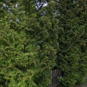 obrazek: avatar APARTMÁN PROKOPKA