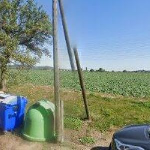 obrazek: avatar ZLATÁ HVĚZDA