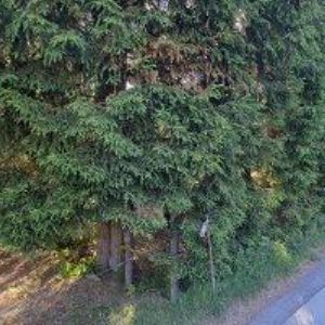 obrazek: avatar H & H PENSIONY HARRACHOV