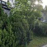 PENSION MARTINOVA BOUDA