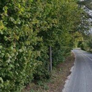 obrazek: avatar PENZION PETR