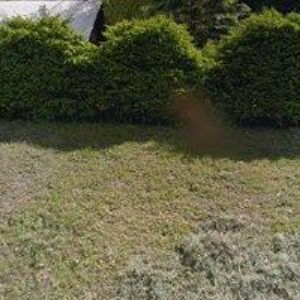 obrazek: avatar HARRACHOVSKÉ APARTMÁNY GRYF