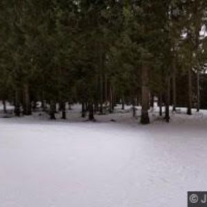 obrazek: avatar SPORTOVNÍ KLUB POLICIE HARRACHOV z.s.