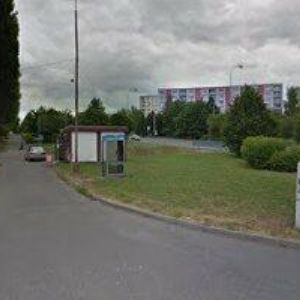 obrazek: avatar SLUNEČNÍ PIZZA