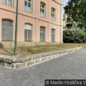 obrazek: avatar PENZION ŽIŽKA