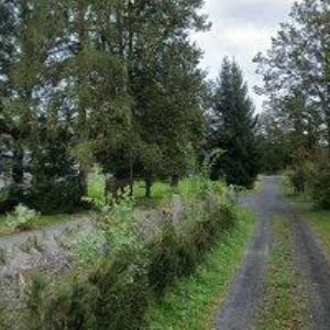 obrazek: avatar TURISTICKÁ UBYTOVNA Arnoltice