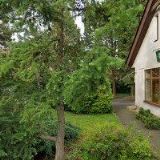 PENZION RESTAURANT STAROHOLICKÁ