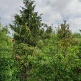 PENZION MARIE s.r.o.