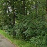 ŠURÝNOVÁ ZDEŇKA-UBYTOVÁNÍ V SOUKROMÍ