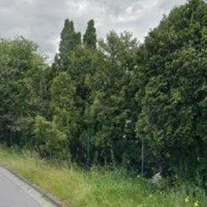 obrazek: avatar PENZION LILIE